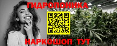 прущие крисы Гай