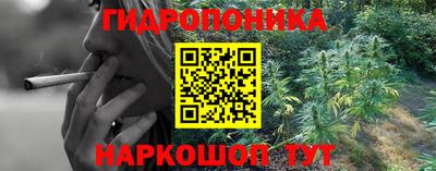 ешки Гатчина