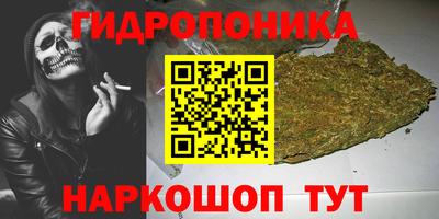 ешки Гатчина