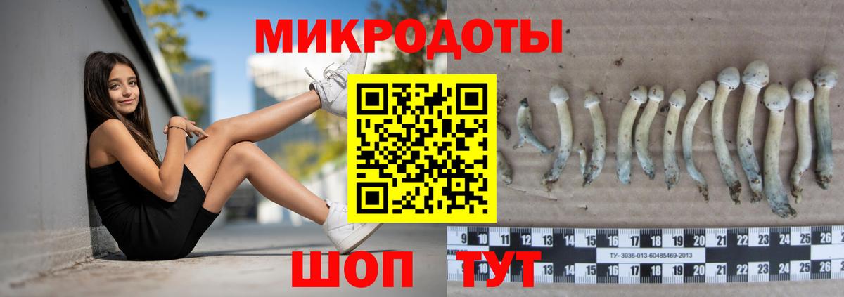 Псилоцибиновые грибы Cubensis  Вход с VPN  Ростов-на-Дону 